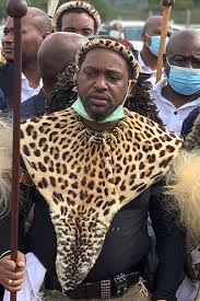 South Africa violent protests: Zulu King calls for calm