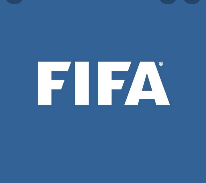 FIFA DC to probe South African and Ghana match