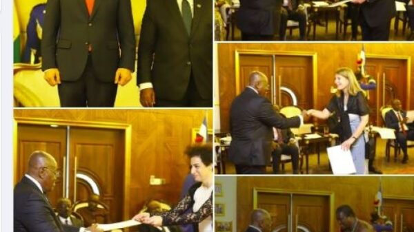 Akufo-Addo receives letters of credence from 6 envoys