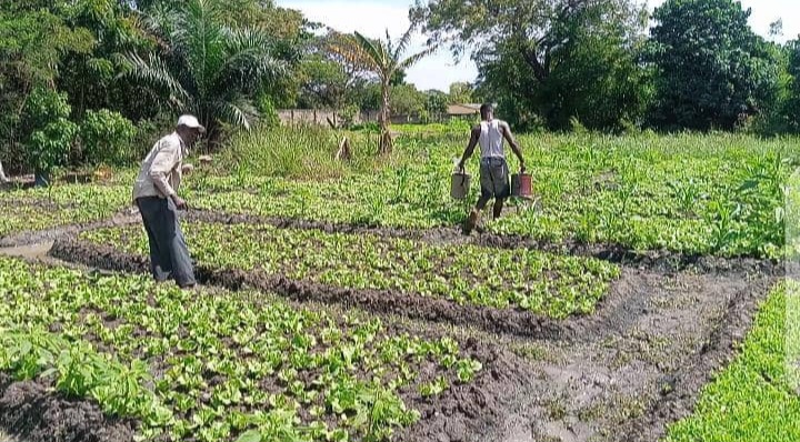 Climate change: A looming threat to Ghana's Agriculture and food security