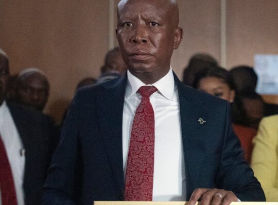 South Africa's Julius Malema jailed for 5 years