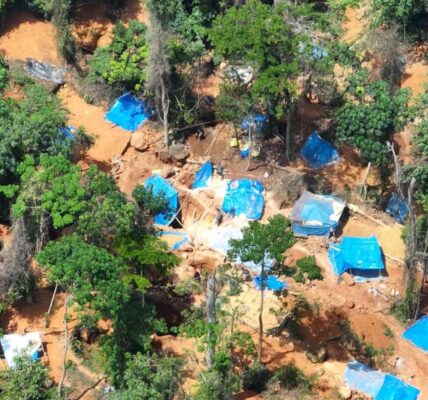 Atewa crisis: CCAL raises alarm over environmental degradation