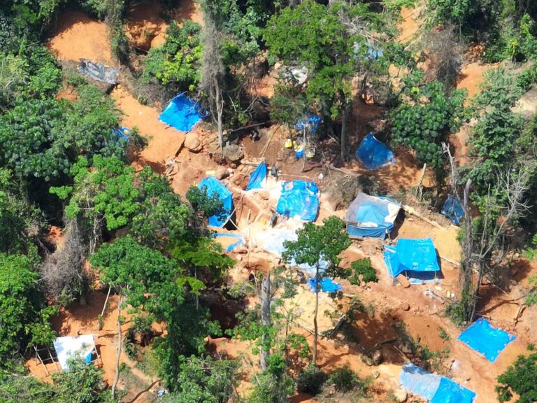 Atewa crisis: CCAL raises alarm over environmental degradation