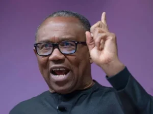 2027 Election; NDC picks Peter Obi as Presidential Candidate 