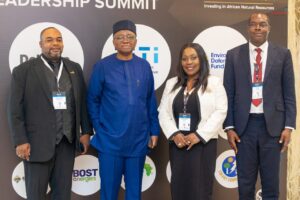 Ghana Gas CEO courts African leaders, investors to accelerate investment in gas infrastructure