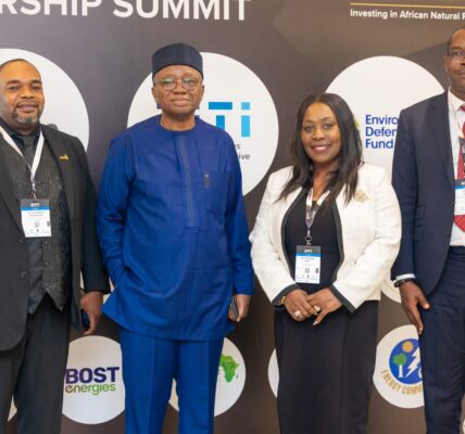 Ghana Gas CEO courts African leaders, investors to accelerate investment in gas infrastructure