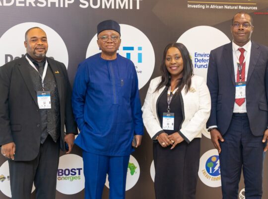 Ghana Gas CEO courts African leaders, investors to accelerate investment in gas infrastructure